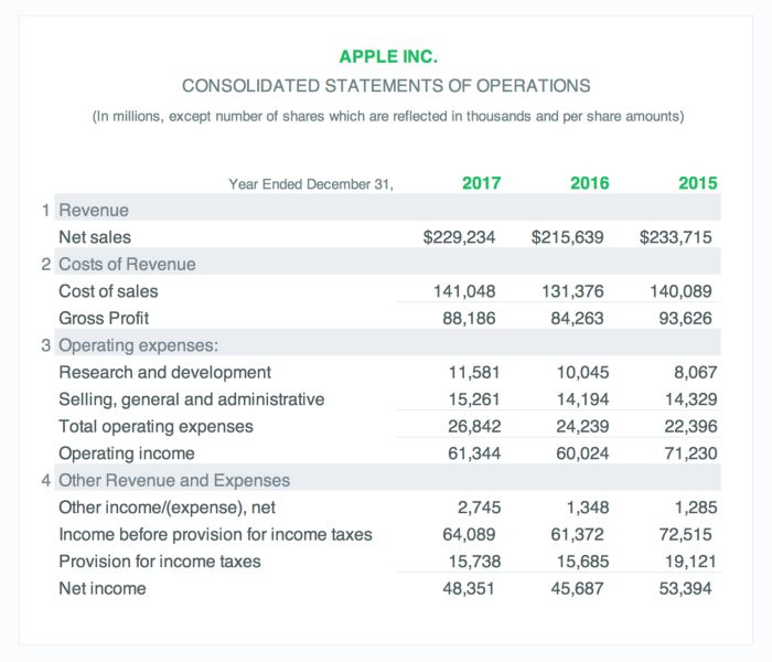 Statement revenue example segments