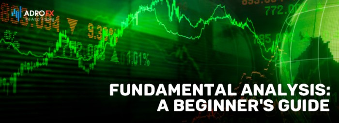 Tips dan trik analisis fundamental bagi investor pemula