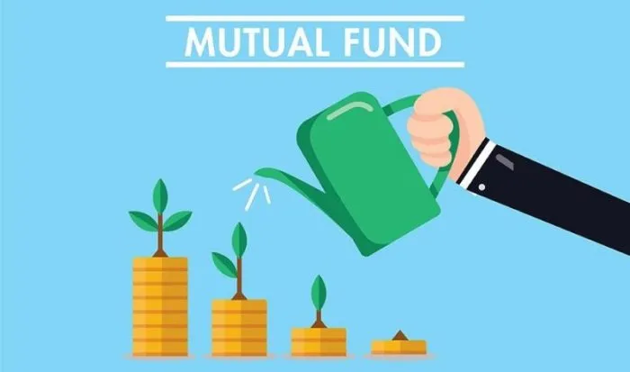 Mutual funds amount investment invested ideal investments piggy regarding many