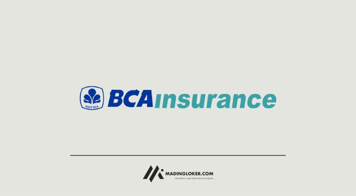 Review dan pengalaman pengguna asuransi kesehatan BCA, baik dan buruknya?