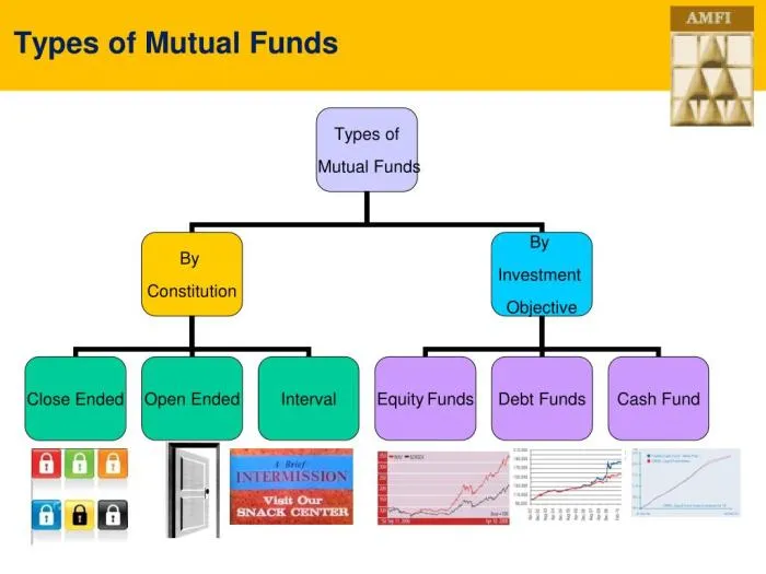 Mutual funds types investment portfolio diversify shabbir really